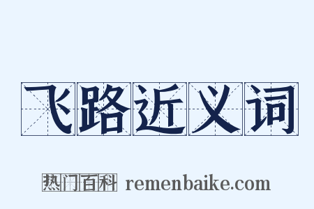 飞路近义词是什么意思的图片